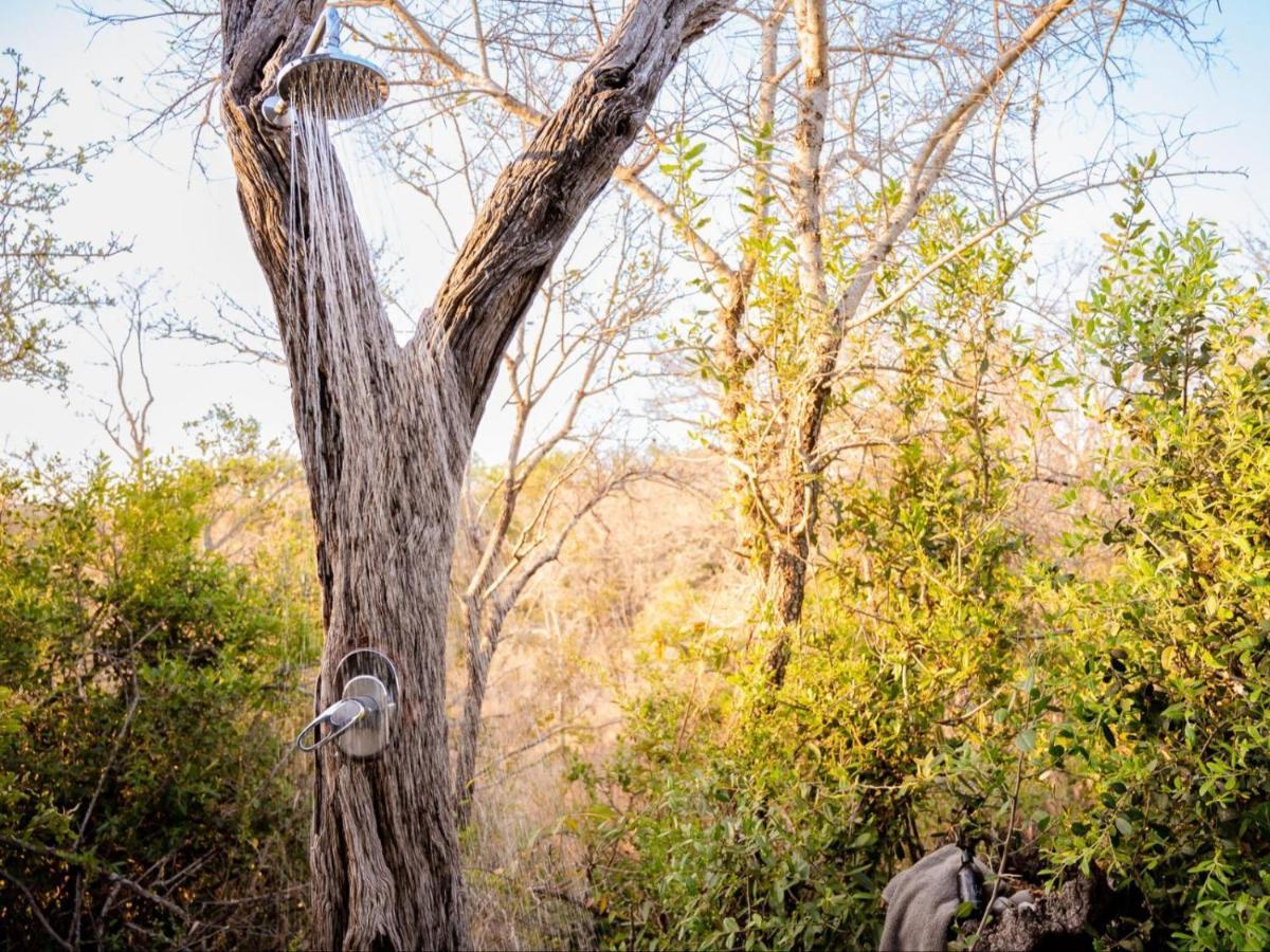 Shimungwe Lodge, Thornybush Game Reserve Hoedspruit Luaran gambar